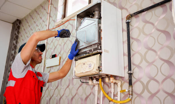 Mold Removal and Cleanup